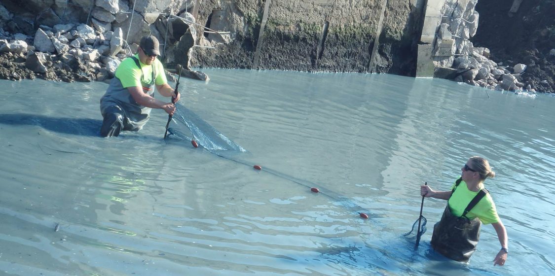 Saddle Creek Redesign IMEG